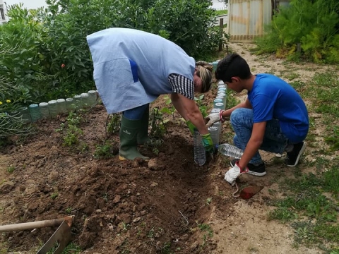 Preparação do canteiro para colocar as plantas hortícolas recebidas na troca de papel por plantas.